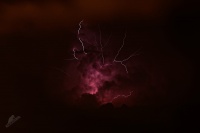 Blesk - Flash 9952